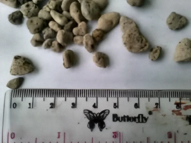 Small pumice stones next to a ruler